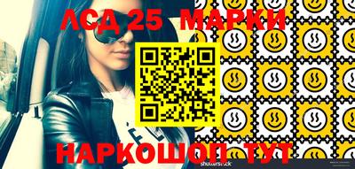 спайс Кандалакша