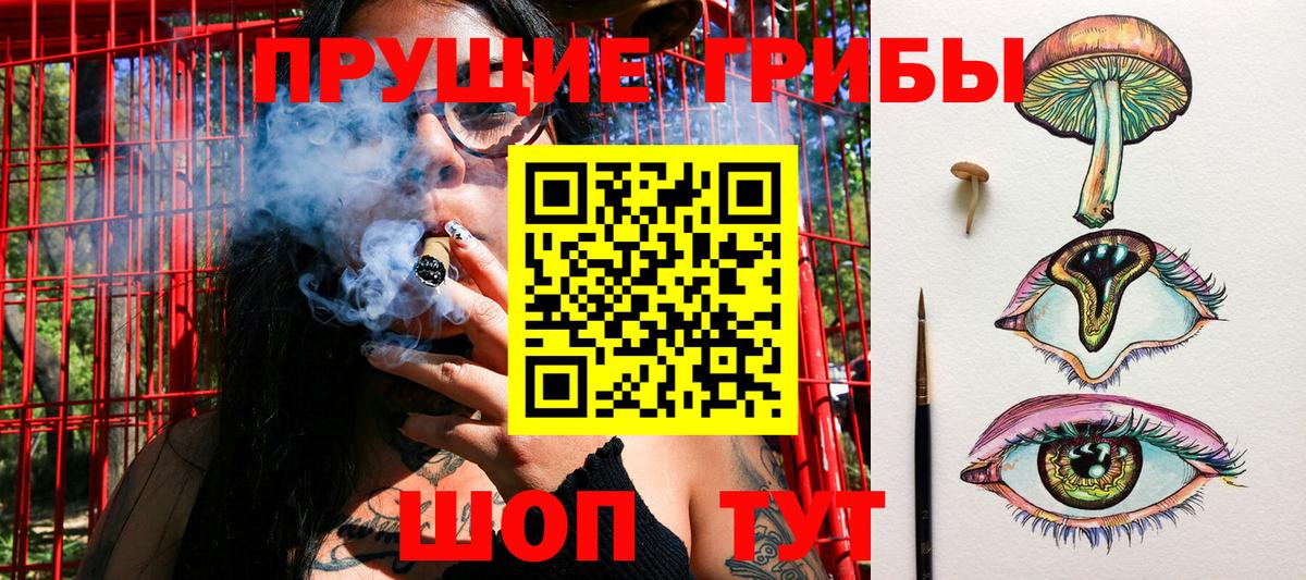 Псилоцибиновые грибы мицелий Кушва